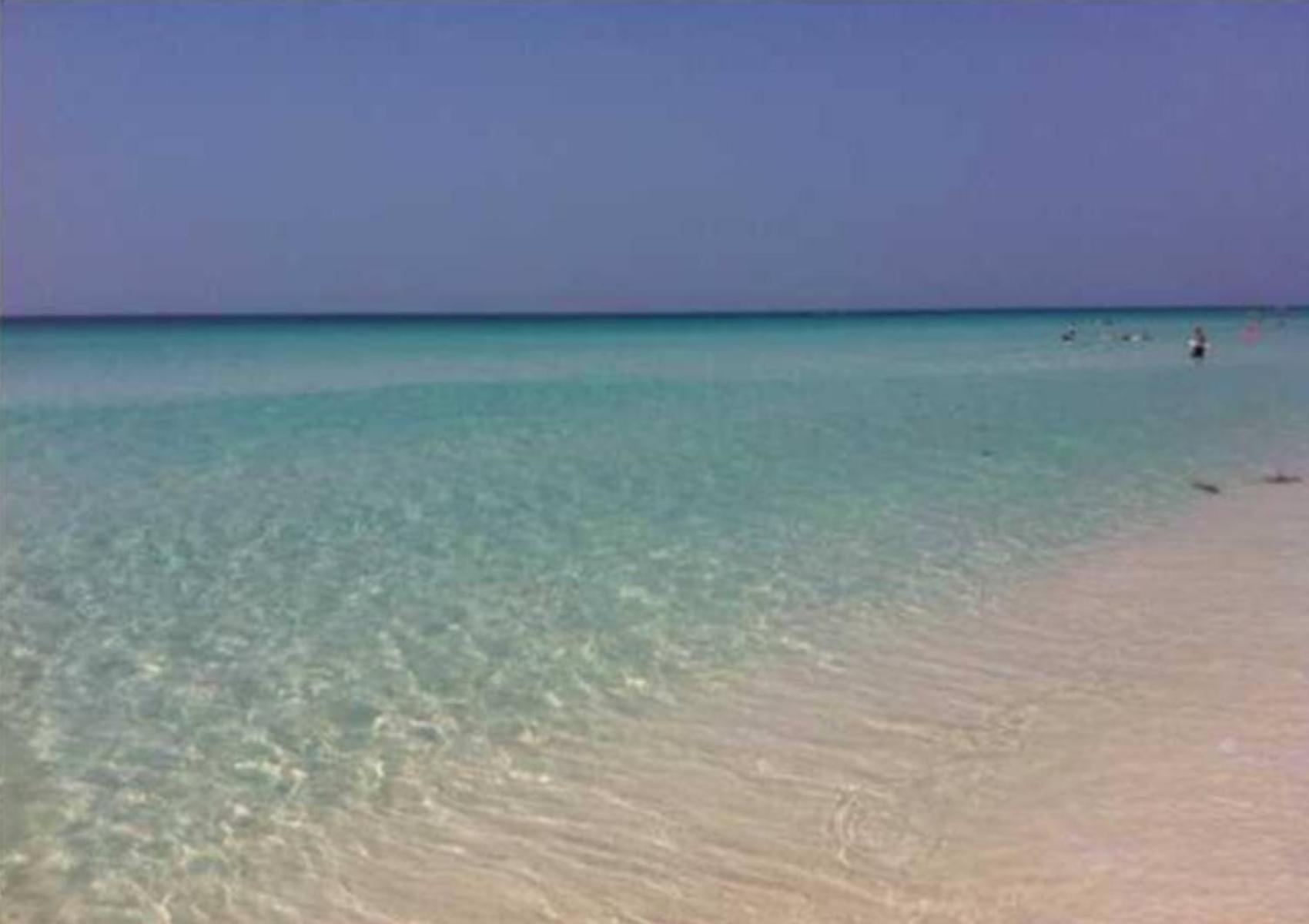 Say Yes To Spring! 4Br Home W Private Pool 2 Min To Destin Beaches Eksteriør billede